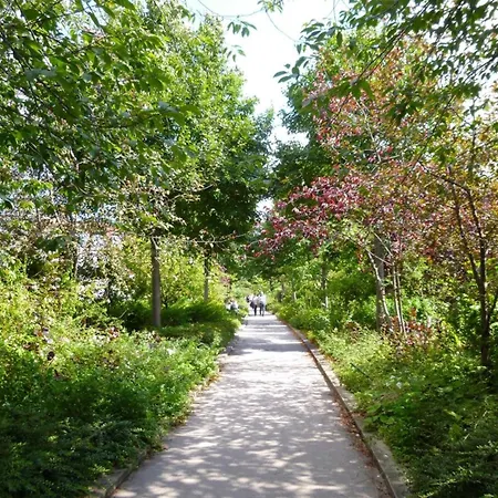 Heart Of 파리